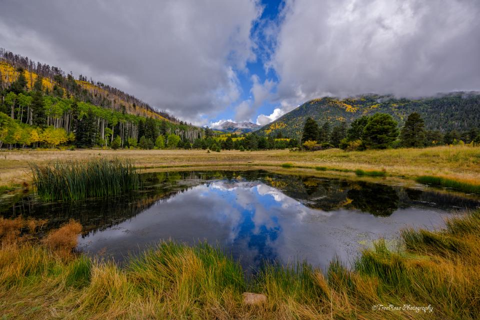 Lockett Meadow Reflections | Shutterbug